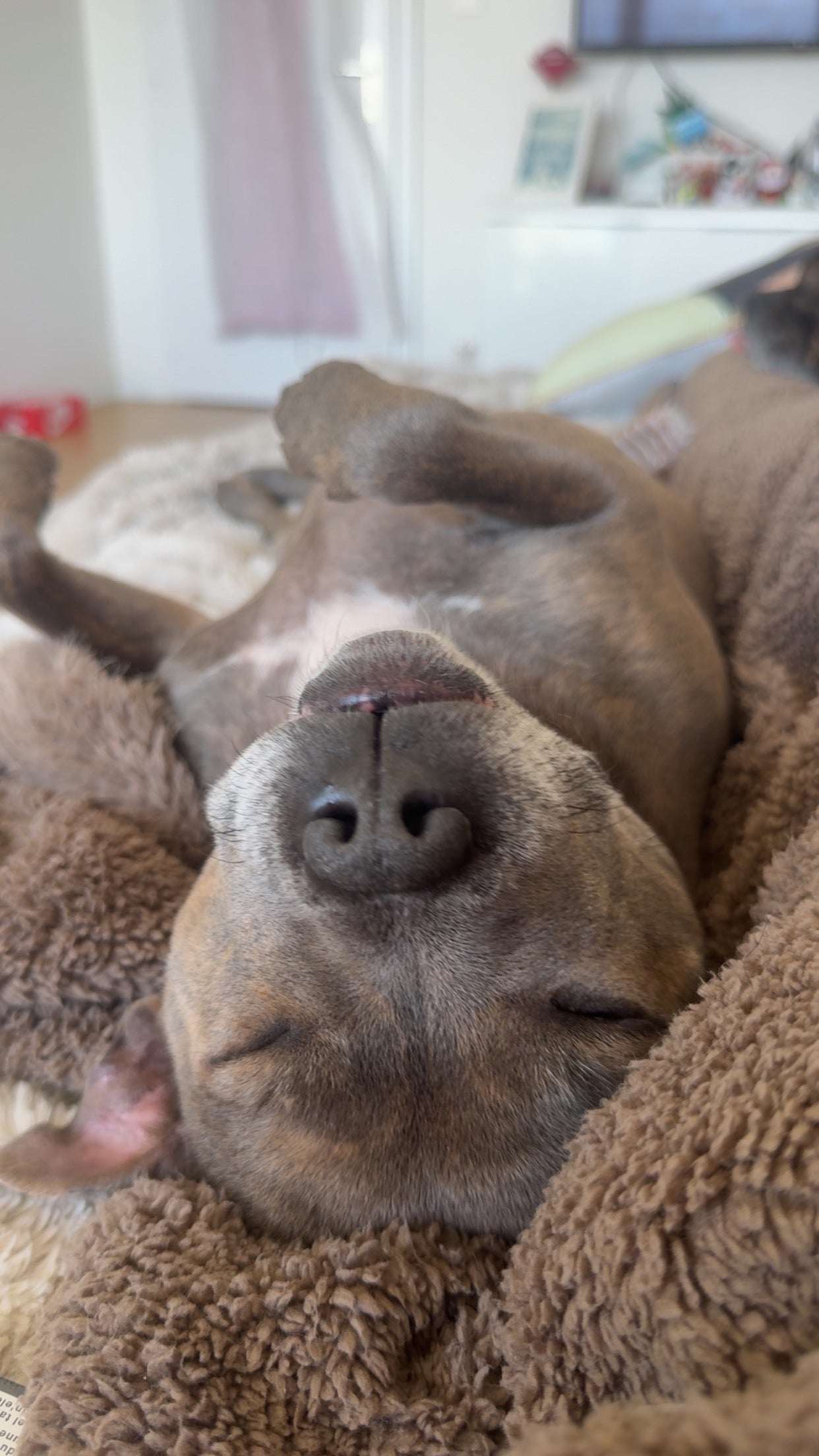 Toile personnalisée