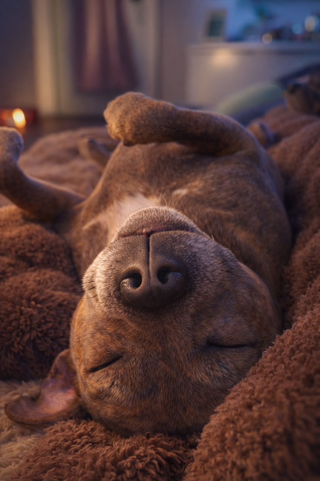 Toile personnalisée